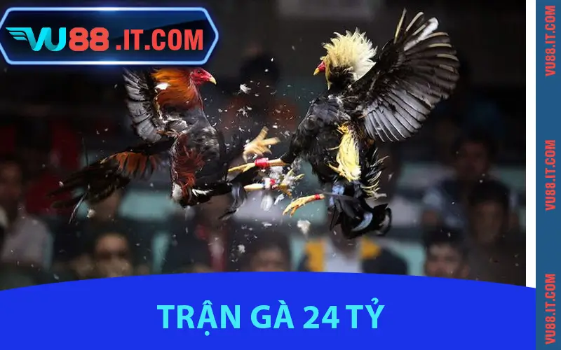 Trận Gà 24 Tỷ